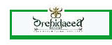 โรงแรม Orchidacea Resort  